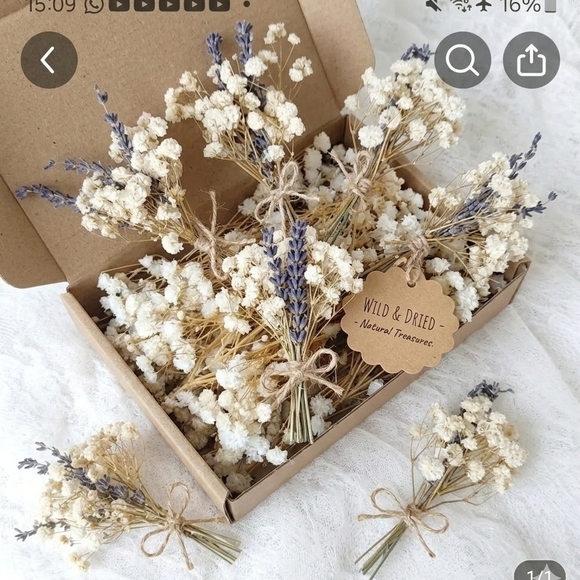 Baby's Breath (Gypsophila) Stem flowers- Dry Flower Bouquet DIY organic Material - Picture 6 of 11